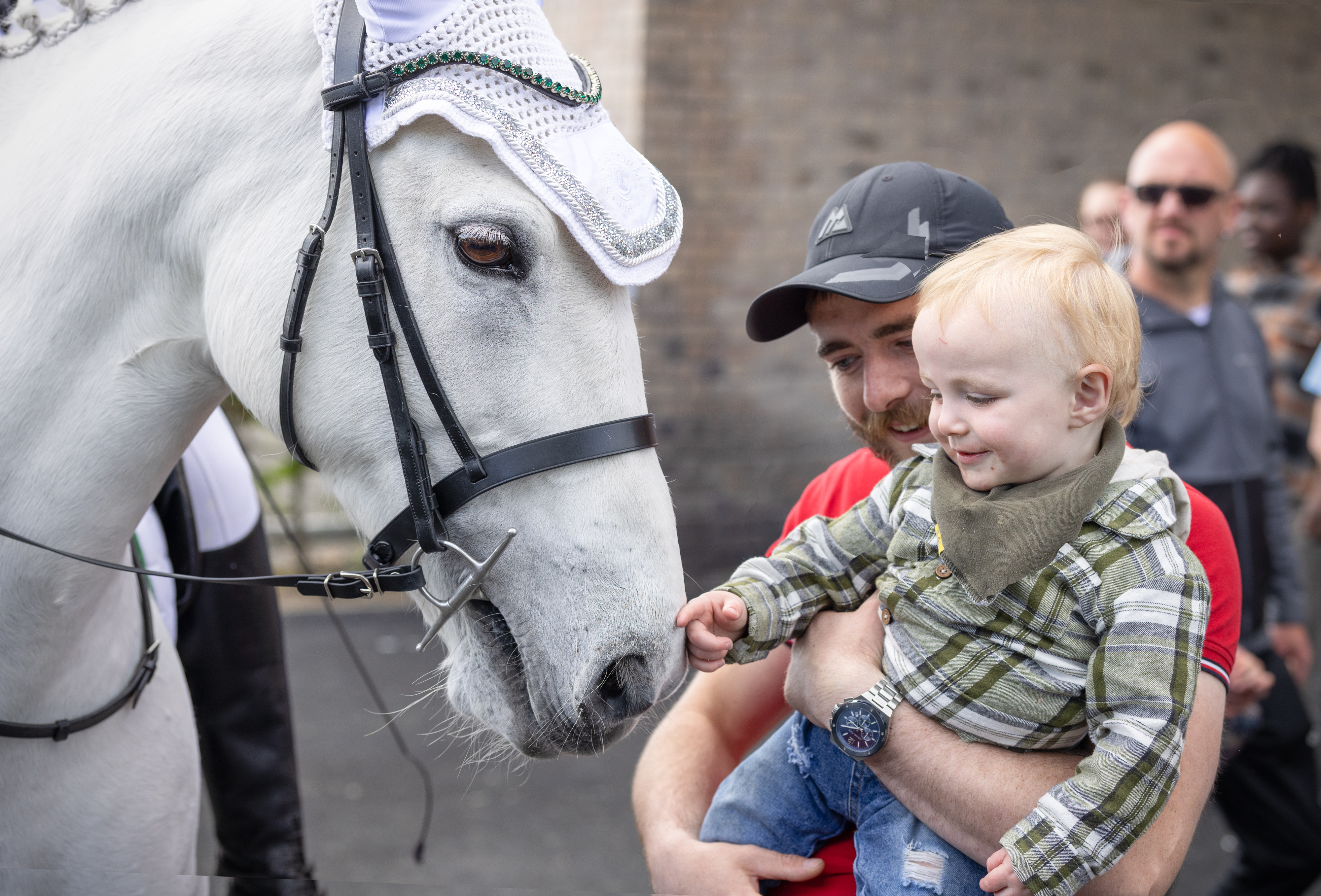 Child petting a horse. 